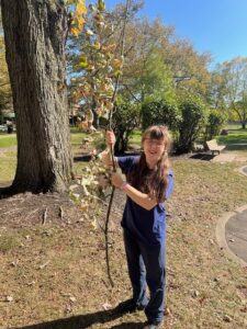 Sarah standing with a large leafy stick